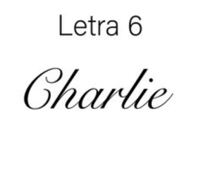 Letra 6