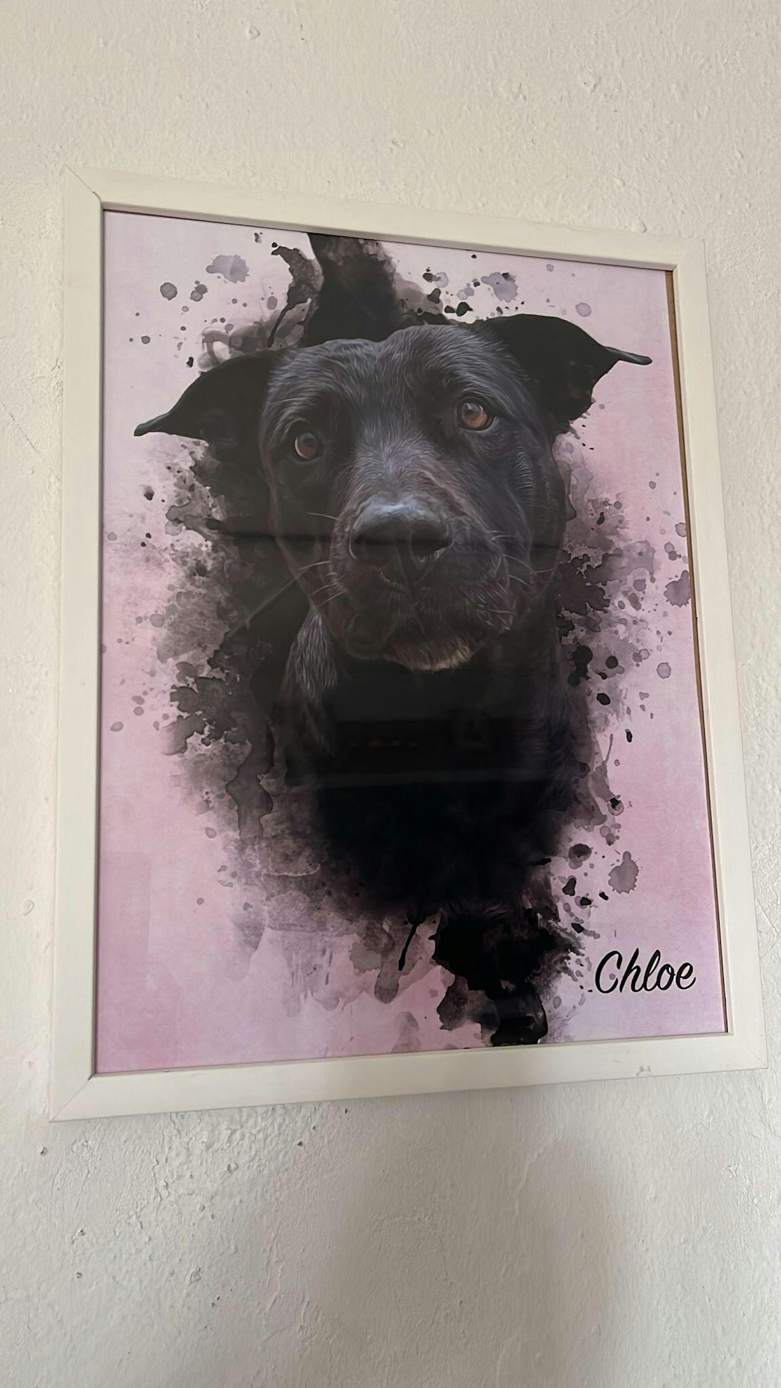 Retrato en acuarela de la perra Chloe enmarcado, reseña de Jessica